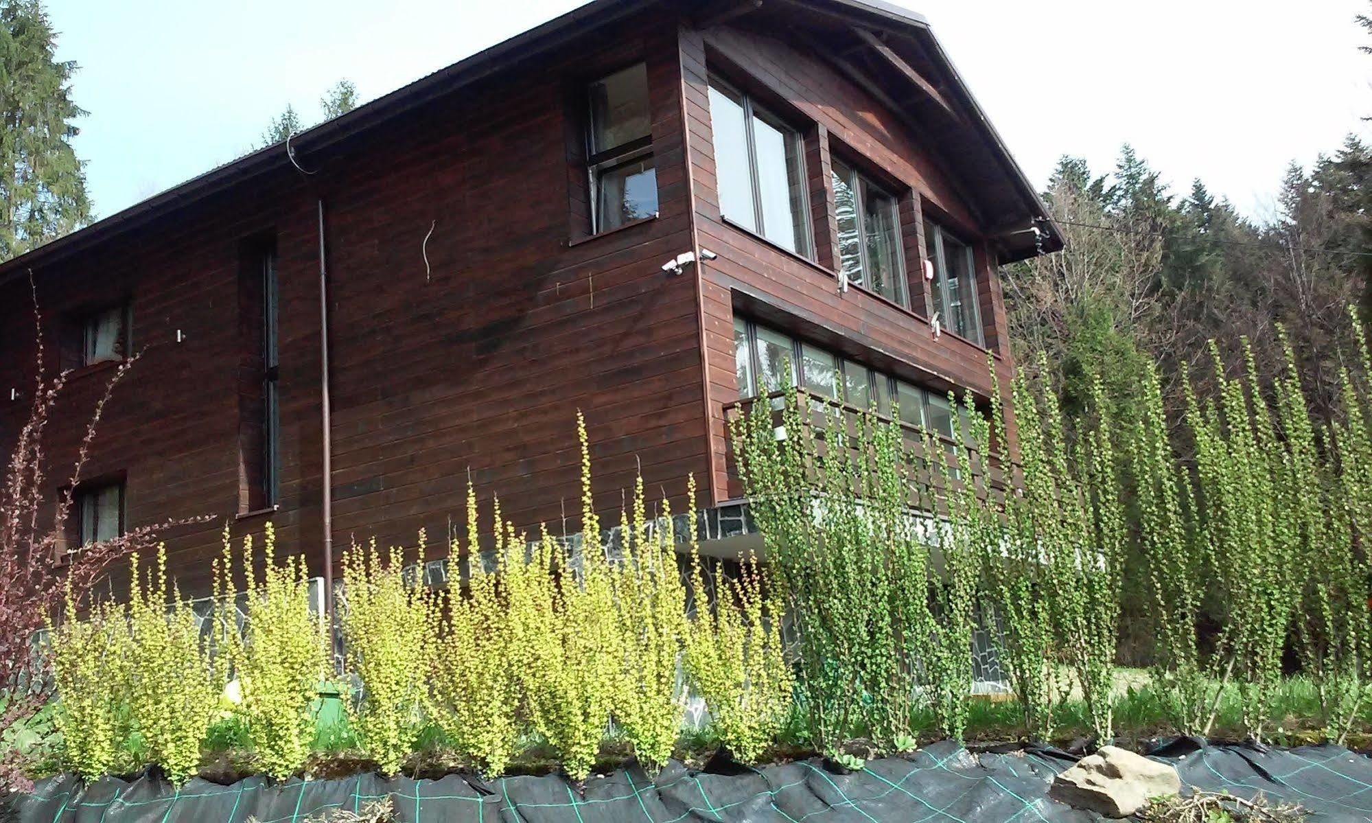Karolinka Guest House Szczyrk Bagian luar foto